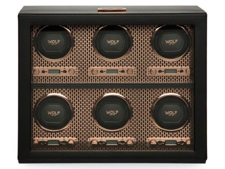 Axis 6 Piece Watch Winder Online now