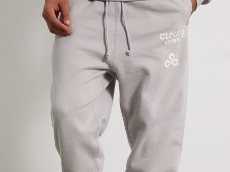 Cloud9 x PacSun Future Sweatpants. Gray For Sale